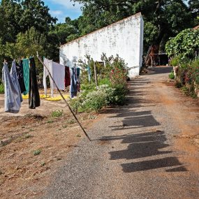 2 Hermon D_Algarve Farm Washday_MP Shadow