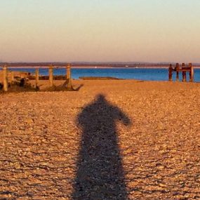 Alien on the beach