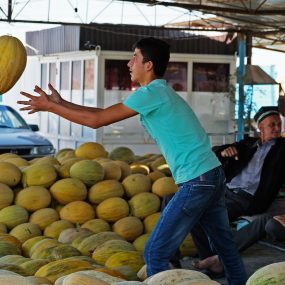 DSCF1158 melon catching MPG