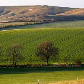 01_Hermon D_Wide Open_Looking N from Woodborough Hill